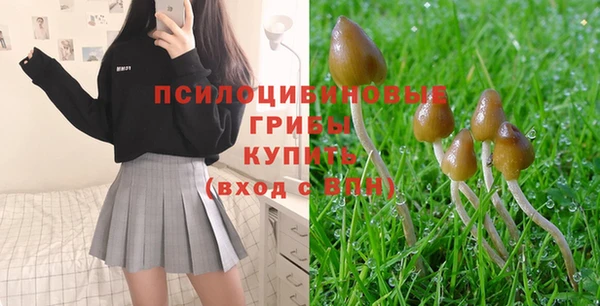 a pvp Абинск