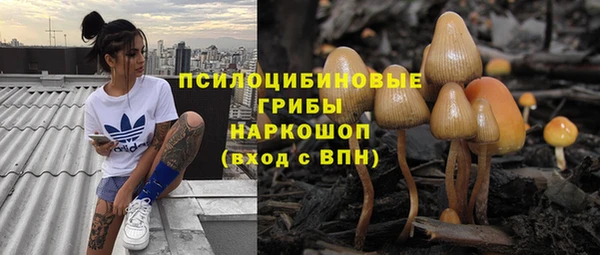 ешки Абдулино