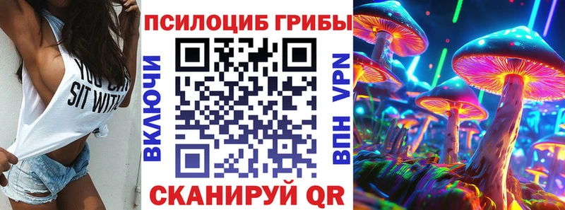 мега зеркало  Ефремов  Псилоцибиновые грибы Cubensis 