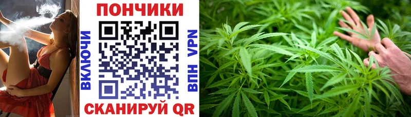 Бошки марихуана план Ефремов